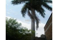 Casas, Venta, San Cayetano - $499.000.000