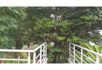 Apartamentos, Venta, Arboleda de Cañasgordas - $650.000.000