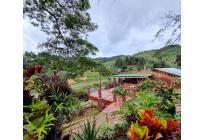 Fincas y Casas Campestres, Venta, Calima (Darién) - $1.200.000.000