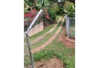 Fincas y Casas Campestres, Venta, Dagua - $295.000.000