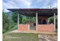 Fincas y Casas Campestres, Venta, Buga - $295.000.000