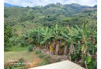 Fincas y Casas Campestres, Venta, Buga - $295.000.000