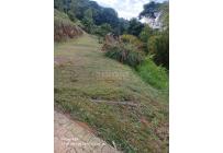 Fincas y Casas Campestres, Venta, Buga - $295.000.000