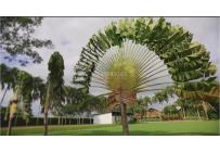 Fincas y Casas Campestres, Venta, El Cerrito - $11.000.000.000