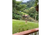 Fincas y Casas Campestres, Venta, Pereira - $2.500.000.000
