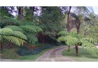 Fincas y Casas Campestres, Venta, La Elvira - $750.000.000