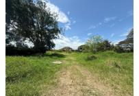 Lotes, Venta, Palmira - $2.000.000.000