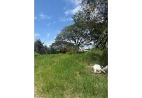 Lotes, Venta, Palmira - $2.000.000.000