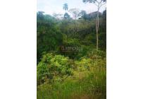 Lotes, Venta, Jamundí - $215.000.000