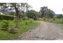 Lotes, Venta, Calima (Darién) - $580.000.000