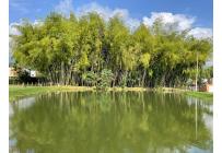 Casas, Venta, Guaduales de las Mercedes