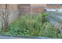 Lotes, Venta, Calima (Darién) - $65.000.000