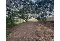 Apartamentos, Venta, Aguacatal - $169.000.000