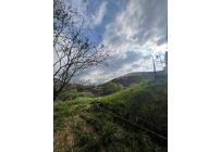 Apartamentos, Venta, Aguacatal - $169.000.000