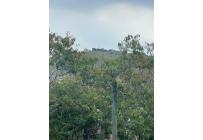 Apartamentos, Venta, Aguacatal - $169.000.000