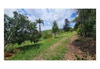 Fincas y Casas Campestres, Venta, La Cumbre - $400.000.000