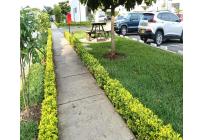 Apartamentos, Venta, Hacienda Kachipay - $225.000.000