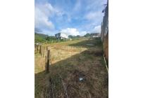 Lotes, Venta, La Buitrera - $170.000.000