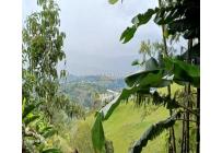 Casas, Venta, La Cumbre - $383.000.000