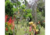 Casas, Venta, La Cumbre - $383.000.000