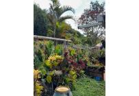 Casas, Venta, Dagua - $415.000.000