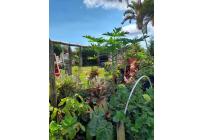 Casas, Venta, Dagua - $415.000.000