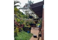 Casas, Venta, Dagua - $415.000.000