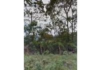 Lotes, Venta, La Elvira - $800.000.000