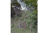 Lotes, Venta, La Elvira - $800.000.000