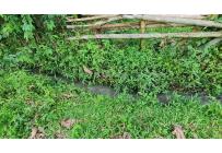 Lotes, Venta, Palmira - $1.152.000.000