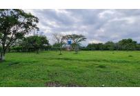 Lotes, Venta, Palmira - $1.152.000.000