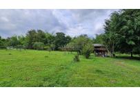 Lotes, Venta, Palmira - $1.152.000.000