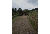 Lotes, Venta, Calima (Darién) - $760.430.000