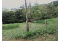 Lotes, Venta, Calima (Darién) - $760.430.000