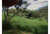 Lotes, Venta, Calima (Darién) - $760.430.000