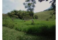 Lotes, Venta, Calima (Darién) - $760.430.000