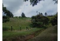 Lotes, Venta, Calima (Darién) - $760.430.000