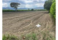 Lotes, Venta, Palmira - $480.000.000