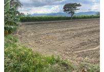 Lotes, Venta, Palmira - $480.000.000