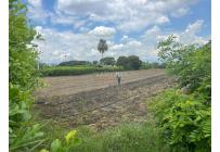 Lotes, Venta, Palmira - $480.000.000