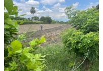 Lotes, Venta, Palmira - $480.000.000