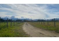 Lotes, Venta, Palmira - $330.000.000