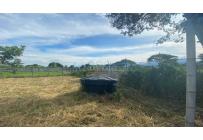 Lotes, Venta, Palmira - $330.000.000