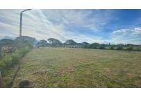 Lotes, Venta, Palmira - $330.000.000