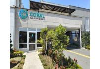 Apartamentos, Alquiler, Ciudad Pacifica - $1.300.000