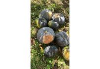 Fincas y Casas Campestres, Venta, Dagua - $450.000.000