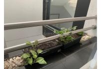 Edificios, Venta, Centro Ccial Ciudad de Cali - $2.800.000.000