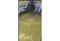 Fincas y Casas Campestres, Venta, Dagua - $400.000.000