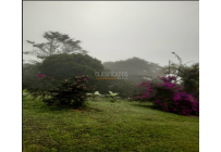 Fincas y Casas Campestres, Venta, Dagua - $400.000.000