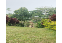 Fincas y Casas Campestres, Venta, Dagua - $400.000.000